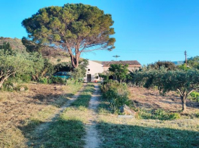 Rustico in campagna a due passi dal mare - Scopello Castellammare Del Golfo